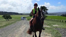 Horse Trek'n Bay of Islands - 1 Hour Bayview Scenic Horse Trek